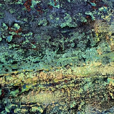 Detail of Memories of the Earth - 4