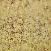 Mysteries of Nature - 9