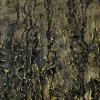 Mysteries of Nature - 8